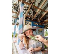 Sunday Afternoon Coronado Women's UPF 50+ Floppy-brimmed Fedora Hat - - Size: M