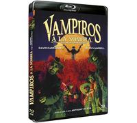 Sundown: The Vampire in Retreat