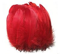 Suneast 100 Pcs Natural Crafts Goose Feathers for DIY Dream Catchers Earrings Craft Wedding Home Party Festival Decorations Baby Shower Decor - 15-20cm - Red