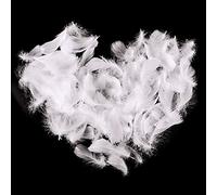 Suneast 300 Pcs Natural Crafts Goose Feathers for DIY Dream Catchers Earrings Craft Wedding Home Party Festival Decorations Baby Shower Decor - 8-12cm - White