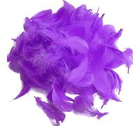 Suneast 300 Pcs Natural Crafts Goose Feathers for DIY Dream Catchers Earrings Craft Wedding Home Party Festival Decorations Baby Shower Decor - 5-8cm - Purple