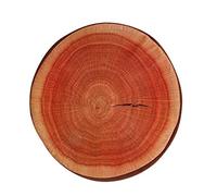 Suneast 3D Funny Plush Fruit Design Round Seat Cushion Toy Creative Fruit Shaped Sofa Seat Pillow Bolster For Dining Living Room Patio Garden Office Coffee Shop - Tree