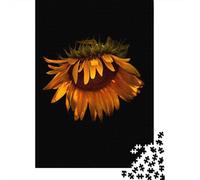 Sunflower 1000 Piece Jigsaw, 70x50cm/1000pcs