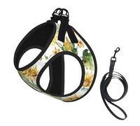 Sunflower And Corn Print Small Dog Harness And Leash Set, Adjustable Soft Vest With 360° Reflective Straps For Cats Puppy