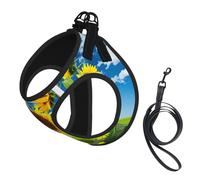 Sunflower Butterfly print Dog Harness and Leash Set, Reflective Adjustable Puppy Vest for Small Medium Large Dogs, Cats