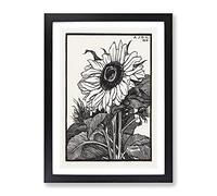 Sunflower By Julie De Graag Vintage Framed Wall Art Print, Ready to Hang Picture for Living Room Bedroom Home Office Décor, Black A3 (34 x 46 cm)