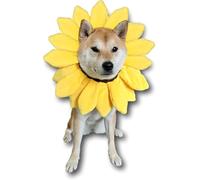 Sunflower Dog Costume for Small Medium Large Dog Puppy Puppies Cat Kitten - Cute Head Flower Headband Outfits - Collar Cone Costume Hat Sombrero Outfit Pet Cosplay Halloween (Large) (M)