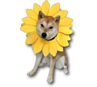 Sunflower Dog Costume for Small Medium Large Dog Puppy Puppies Cat Kitten - Cute Head Flower Headband Outfits - Collar Cone Costume Hat Sombrero Outfit Pet Cosplay Halloween (Large) (XL)