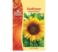 Sunflower Dwarf Sunspot Seeds - Flower - Annual