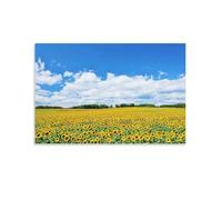 Sunflower Field in Full Bloom Under The Blue Sky - Wall Hanging Indoor Poster Canvas Wall Art Prints Poster Photo Picture Painting Posters Room Decor 20x30inch(50x75cm)