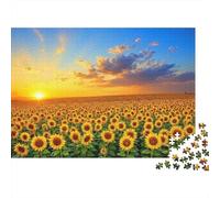 Sunflower Field Sunset 100% Recycled Cardboard Expansive Sunflower Field 1000 Piece Jigsaw for Adults Unique Beautiful Decoration Puzzle 70x50cm/1000pcs