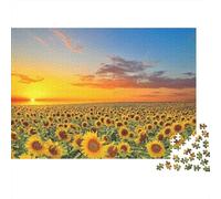 Sunflower Field Sunset 1000 Piece Puzzles Beautiful View Sunflower Field Sunset Decoration Puzzle Educational Game for Men And Women Challenging Jigsaw Jigsaw Puzzles for Adults 38x26cm/1000pcs