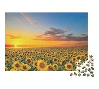Sunflower Field Sunset 1000 Pieces Puzzle ForAdults Kids Colorful Sunflower Field Dawn Home Decoration Decompression Jigsaw for Men And Women Challenging Puzzles Jigsaw Puzzles 70x50cm/1000pcs