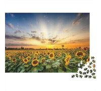 Sunflower Field Sunset_2 1000 Pieces Jigsaw Puzzle Logic Skill Decompression Wall Decor Family Game Night Cardboard 70x50cm/1000pcs