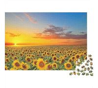 Sunflower Field Sunset Colourful Sunflower Field at Sunset 1000 Pcs Adult Jigsaws Beautiful Decoration Puzzle Brain Development 52x38cm/1000pcs