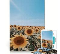 Sunflower Field Under A Blue Sky Jigsaw Puzzle for Teenagers 1000 Pieces Fine Logic Toy Calm Pastime Neat Edge Art Collection Piece 38x26cm