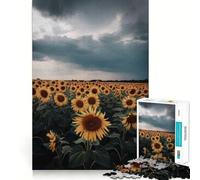 Sunflower Field Under A Stormy Sky 1000 Piece Jigsaw Puzzles for Adults Pure Logic Toy Soothing Fun Sharp Cut Amazing Present 38x52cm