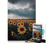Sunflower Field Under A Stormy Sky Adults Puzzles 1000 Piece Jigsaws Strengthen Memory Quiet Calm Clean Edge Art Collectible 38x26cm
