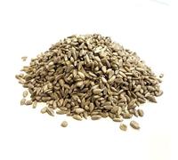 Sunflower Hearts 20kg Premium Wild Bird Food Seed