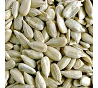 Sunflower Hearts 20KG (TP)(SUNH)