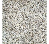 Berry Sunflower Hearts Seeds for Birds - 12.55kg