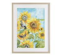 Sunflower Honey Bird Floral, 17 x 23 Inch Framed Print Under Glass