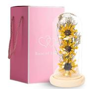 Sunflower in Glass Dome with LED Lights | Eternal Flower Gift with 2 Roses | Romantic Decoration for Women | Perfect for Mother’s Day, Birthday, Valentine's Day or Anniversary
