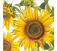 Sunflower Napkins I The Last Sun Lunch Size 40 Ct I Fall Napkins for Decoupage I Scrapbook Paper I Birthday Party Supplies (LUNCH)