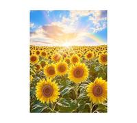 Sunflower Paint by Numbers for Adults Landscape Painting by Numbers for Adults, Art Supplies with Color Canvas for Painting 12x16in 36 Colors of Acrylic Paint and Brush, Room Decor Gifts 2YH-13128