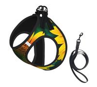 Sunflower pattern print Dog Harness and Leash Set, Reflective Adjustable Puppy Vest for Small Medium Large Dogs, Cats