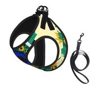 Sunflower Pattern Printing Dog Summer Harness With Leash Set,Adjustable And Reflective Step-In Puppy Pet Vest Harnesses