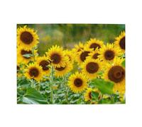 Sunflower Plant Printed Adults 500 Pieces Puzzles-Jigsaw Wooden Puzzle for Adults Elderly