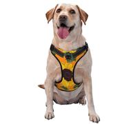 Sunflower Seamless Pattern,Pet Harness,Adjustable Reflective Dog Harness,Pet Leash Vest,S