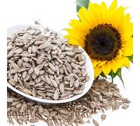 Sunflower Seeds 2kg - Ready To Eat - For Human Consumption - 100% Natural Raw Shelled Sun Flower Hearts Kernels - Edible Seed - Keto & Paleo - Unsalted Unroasted - PURIMA - 2 kg BULK Packaging