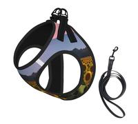 sunflower sun print Dog Harness and Leash Set, Reflective Adjustable Puppy Vest for Small Medium Large Dogs, Cats
