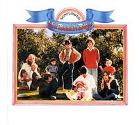 Sunflower / Surf's Up by The Beach Boys Original recording remastered edition (2000) Audio CD