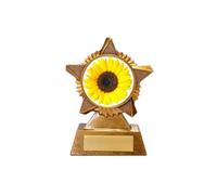 Sunflower Trophy Award Premier Star Antique Gold 120mm Heavy Resin Free Engraving -troshow1-A