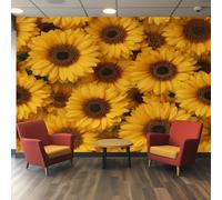 Sunflower Wallpaper - Yellow Floral Flower Wall Mural - Wall Murals for Living Room Bedroom - Photo Wallpaper & Home Decor Art - 315 x 215 cm H679