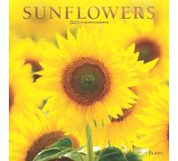 Sunflowers | 2025 12 x 24 Inch Monthly Square Wall Calendar | Foil Stamped Cover | Plato | Flower Floral Plant Outdoor Nature