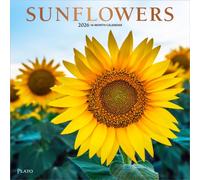 Sunflowers 2026 Square Plato Foil Calendar