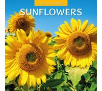 Sunflowers - 2027 Square Wall Calendar - by Red Robin Publishing