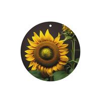Sunflowers In The Weeds Printing 10 Pcs Car Air Freshener Hanging Sheets Scented Hanging Sheets With Rope For Home