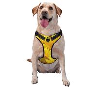 Sunflowers Yellow Flowers Printed,Pet Harness,Adjustable Reflective Dog Harness,Pet Leash Vest,S