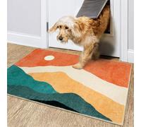 Sungea 2'X3' Abstract Indoor Door Mat, Low Pile Boho Bathroom Rug, Non Slip Washable Rug for Entryway, Foldable Super Soft Faux Wool Throw Rug, Multi Color