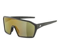 Sunglasses Alpina Ram Q-Lite Noir TU