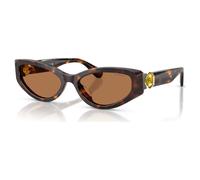 Sunglasses, Cat-Eye shape, SK6045, Brown