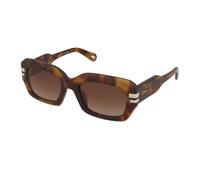 Sunglasses Chloe CH0256S 002 20 53 145 Größe: 53
