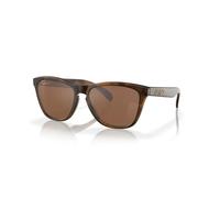 Sunglasses Oakley Frogskins Marron TU