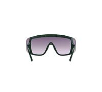 Sunglasses POC Devour WF + TU