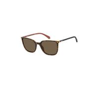 Sunglasses - POLAROID - PLD 4209/S/X - Havana - Polycarbonate - Square 56/18/130